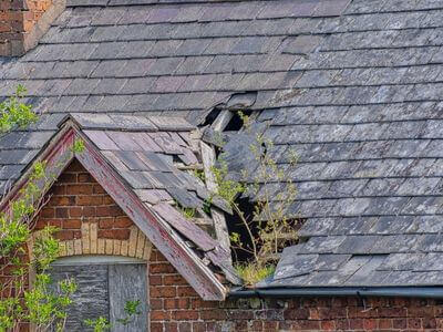 Professional water damage restoration near me services in Bridgeport